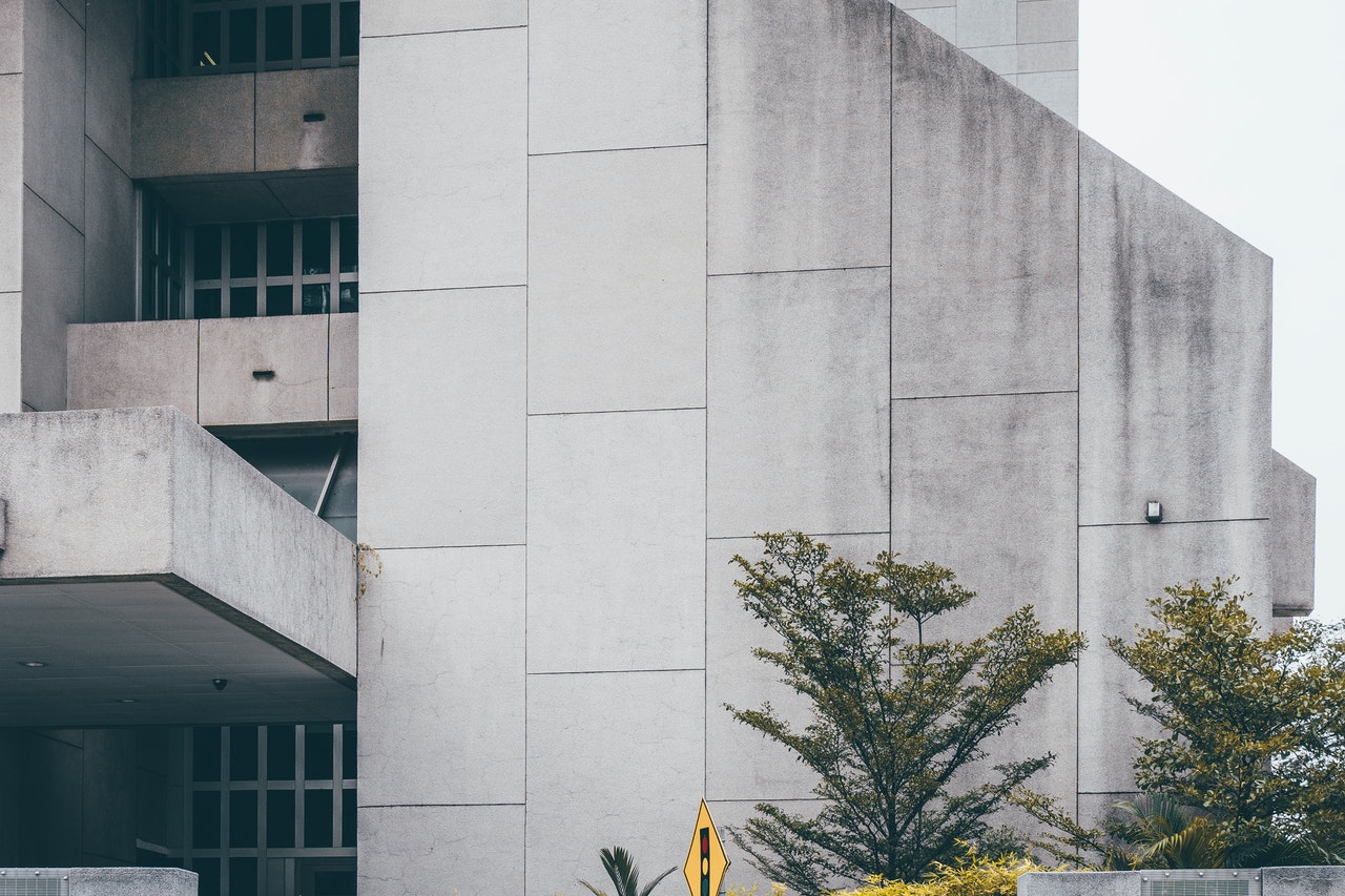 pexels-xianyun-zhu-3801131